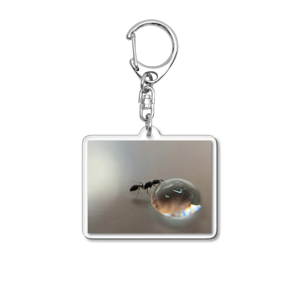 Haruki_antのハダカアリの女王 Acrylic Key Chain