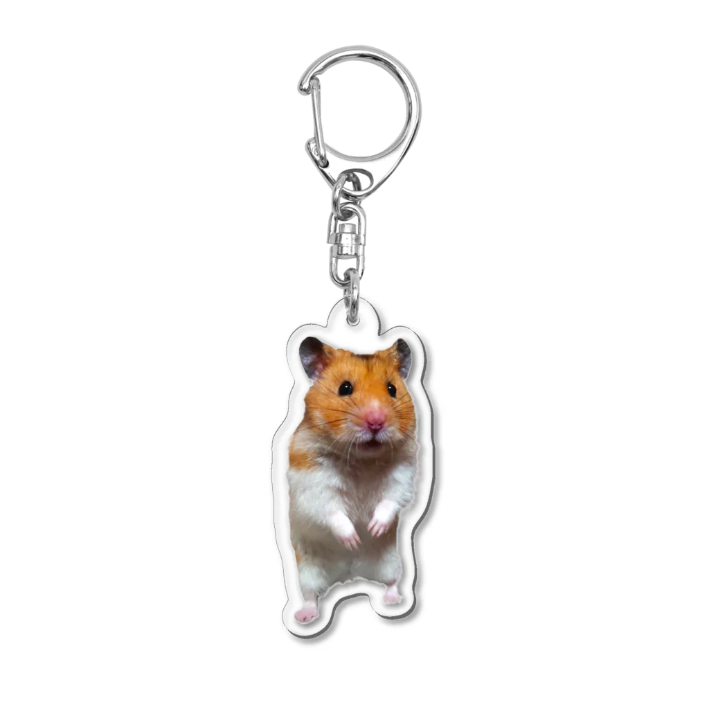 ぽこの巣の立ちなぽこ Acrylic Key Chain