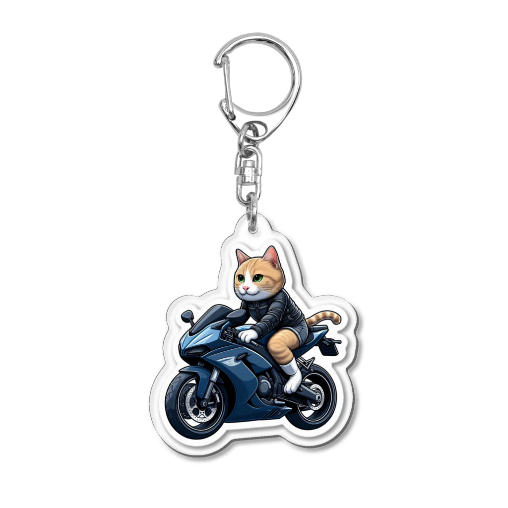 kemono-friendのネコライダー Acrylic Key Chain