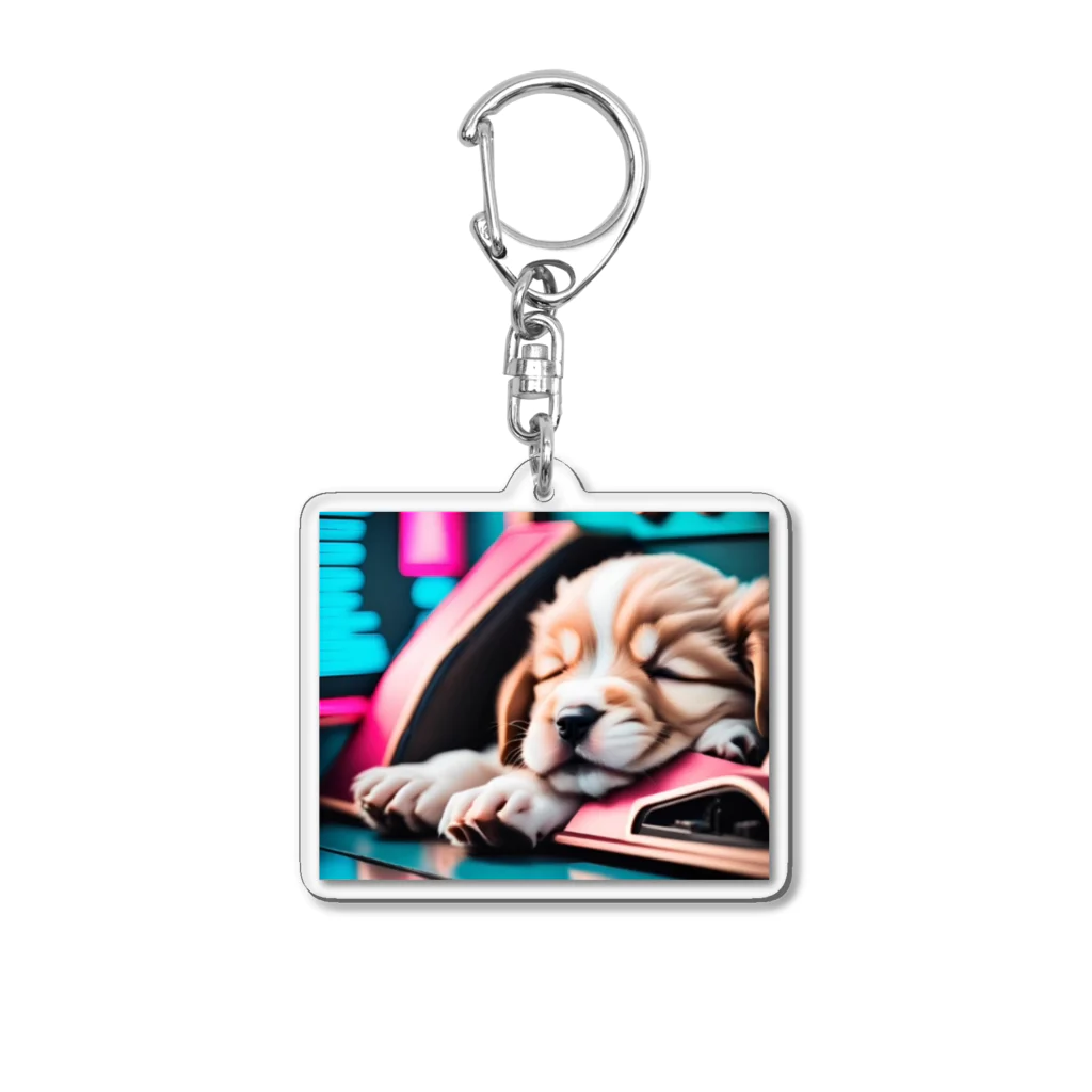 TMBUのワンだふる Acrylic Key Chain