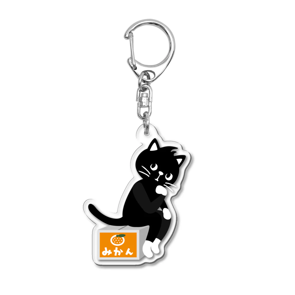 QROOVYの黒猫くん　考える猫　pat01 Acrylic Key Chain