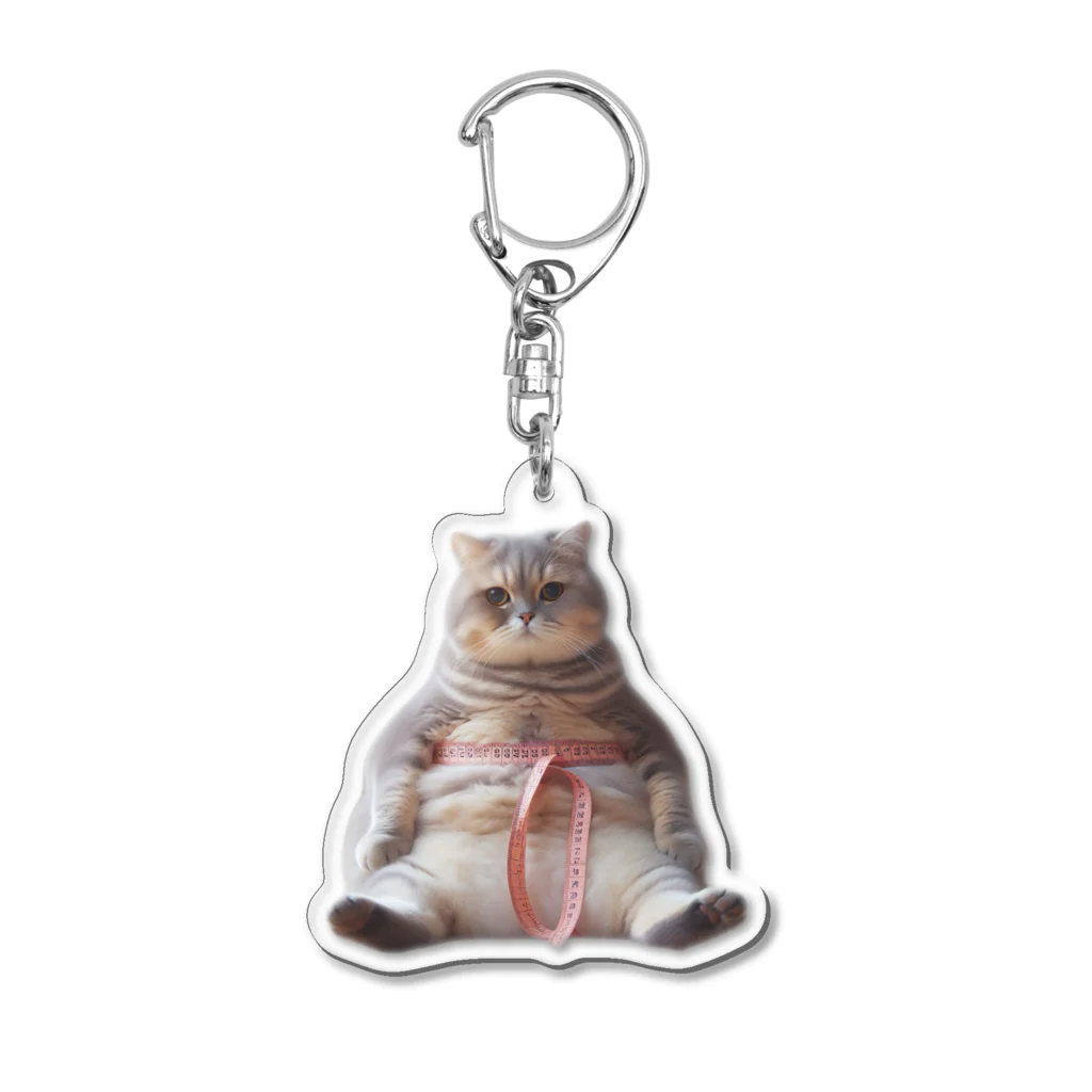 zatto_00のダイエット中の猫 Acrylic Key Chain