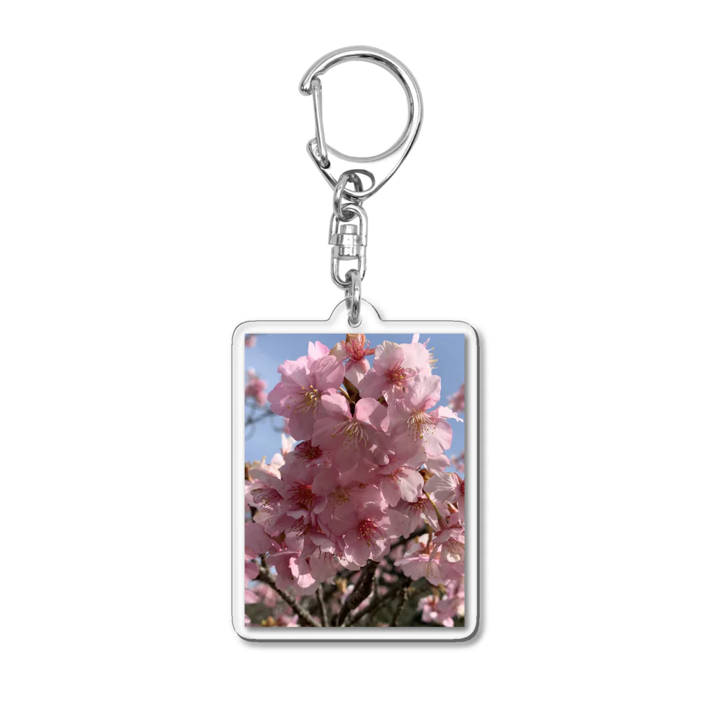 mizuiro-8556のさくら Acrylic Key Chain