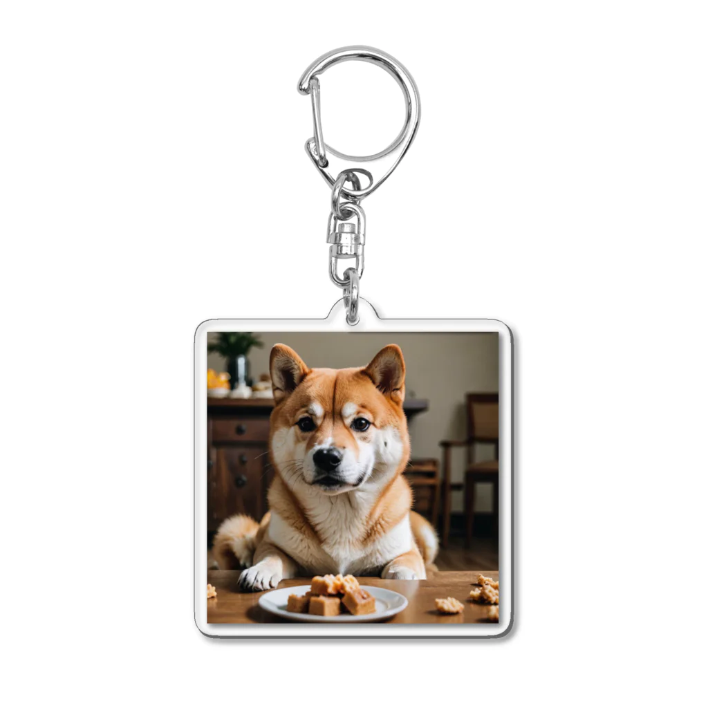 jaguar3の餌に手が出そうな柴犬 Acrylic Key Chain