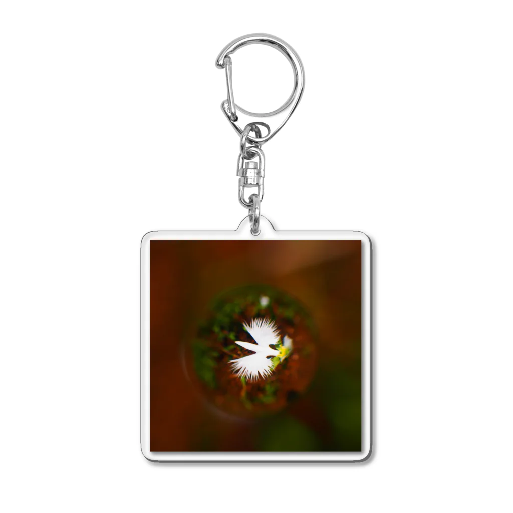 ハレとケのsoratama-fringed orchid Acrylic Key Chain