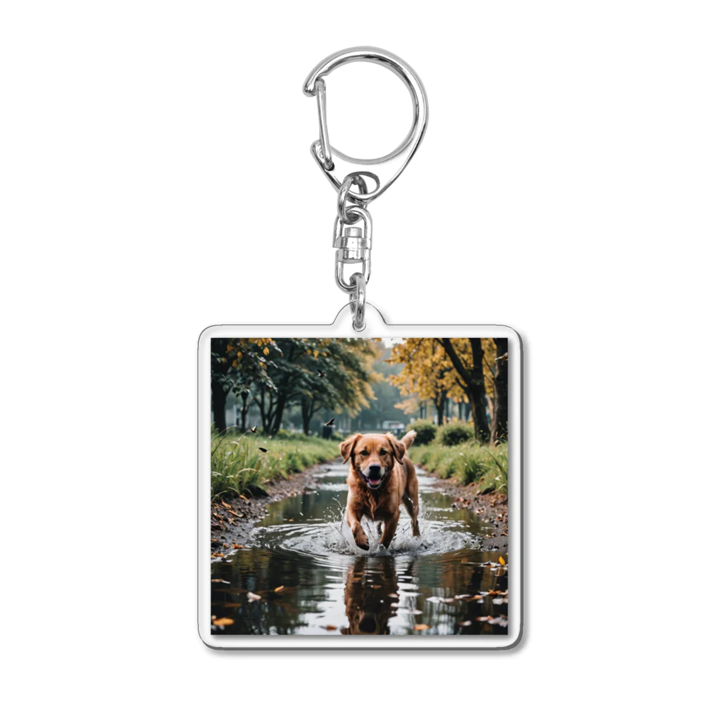 kokin0の水辺を歩く犬 dog on the water アクリルキーホルダー