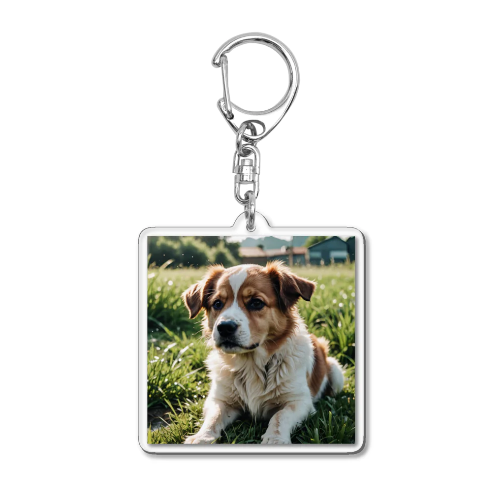 kokin0の草むらで斜めを見つめる犬 dog looking for the anywhere Acrylic Key Chain