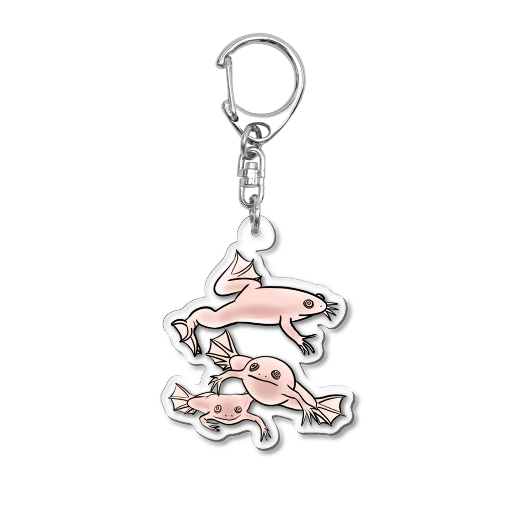 RURIBOSHI_ROCKの連なるアフリカツメガエル(アルビノ) Acrylic Key Chain