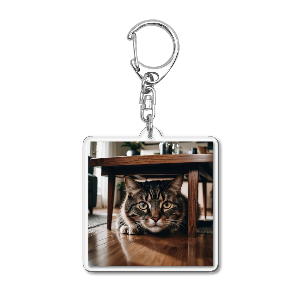 zigerparkの隠れる猫 Acrylic Key Chain