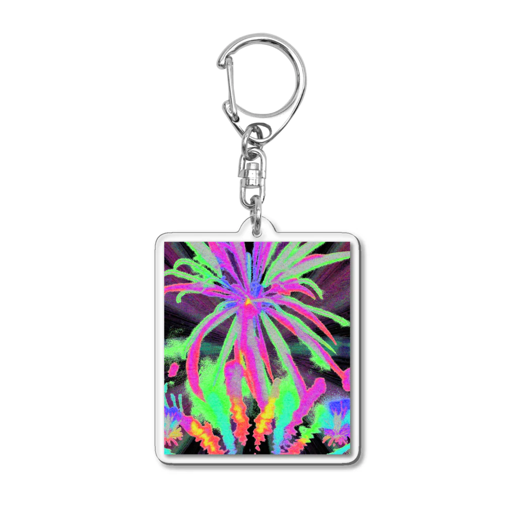 水草のおしゃれな花火 Acrylic Key Chain