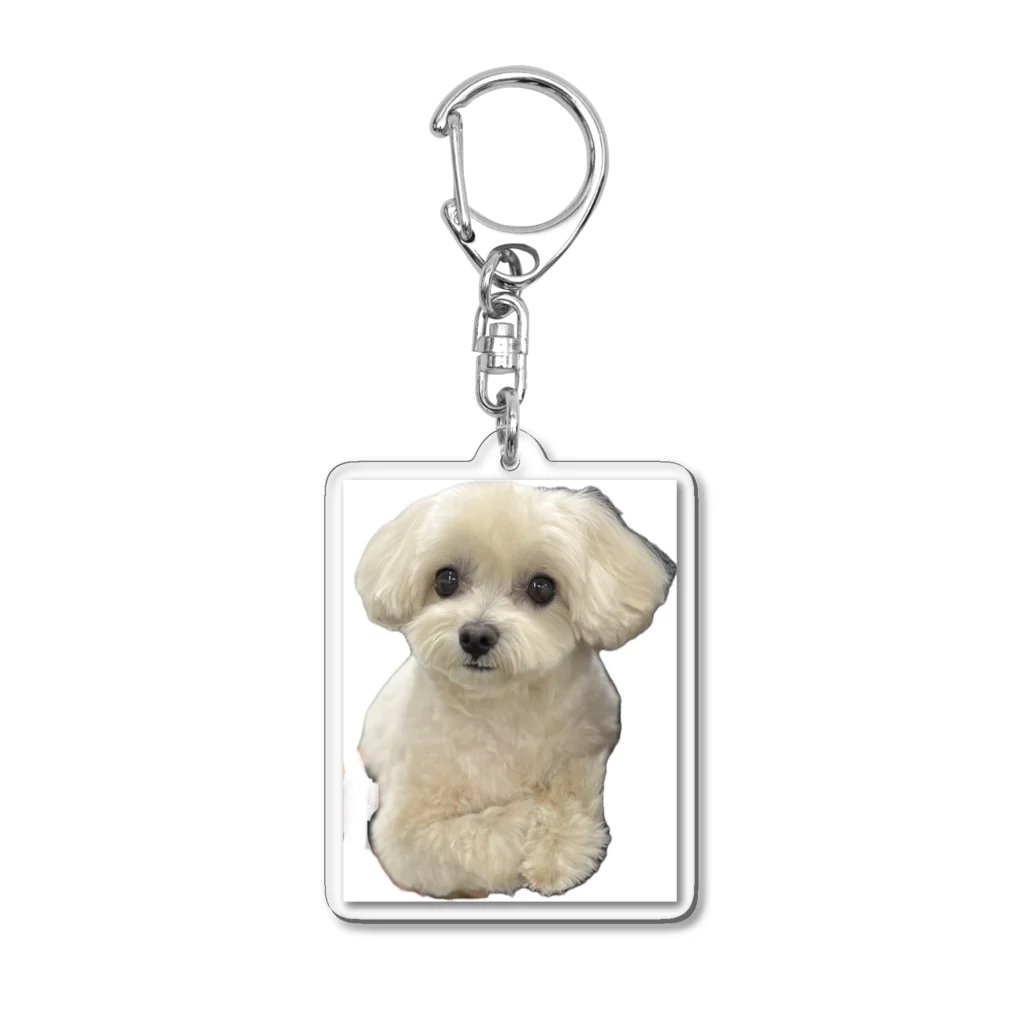 Momo_Clubのももちゃんシリーズ Acrylic Key Chain