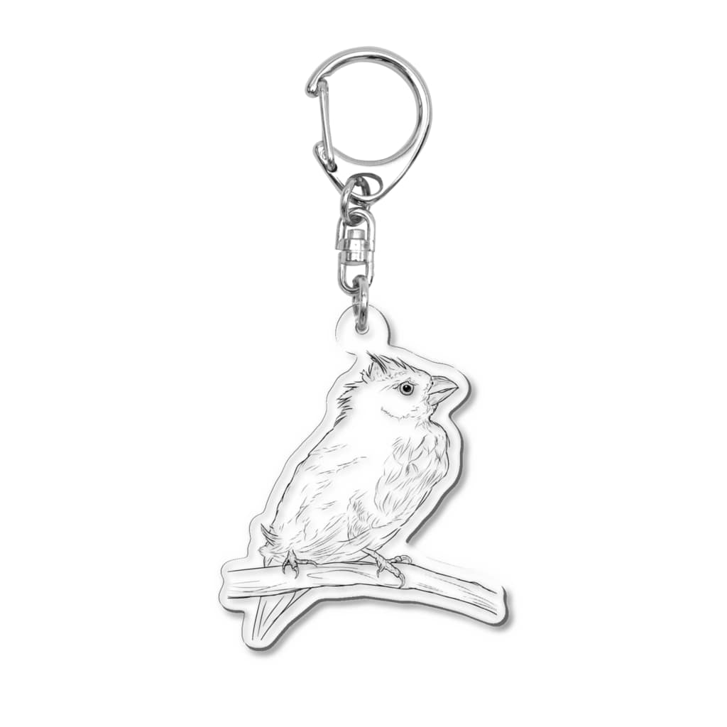 Lily bird（リリーバード）の水浴び文鳥 Acrylic Key Chain