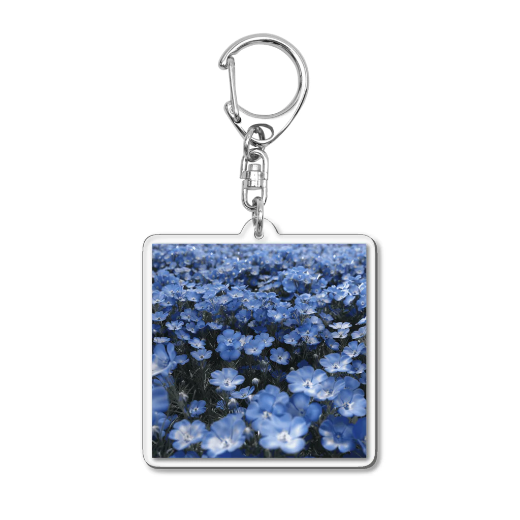 オンラインショップイエローリーフの水色の小さな花　ネモフィラ Acrylic Key Chain