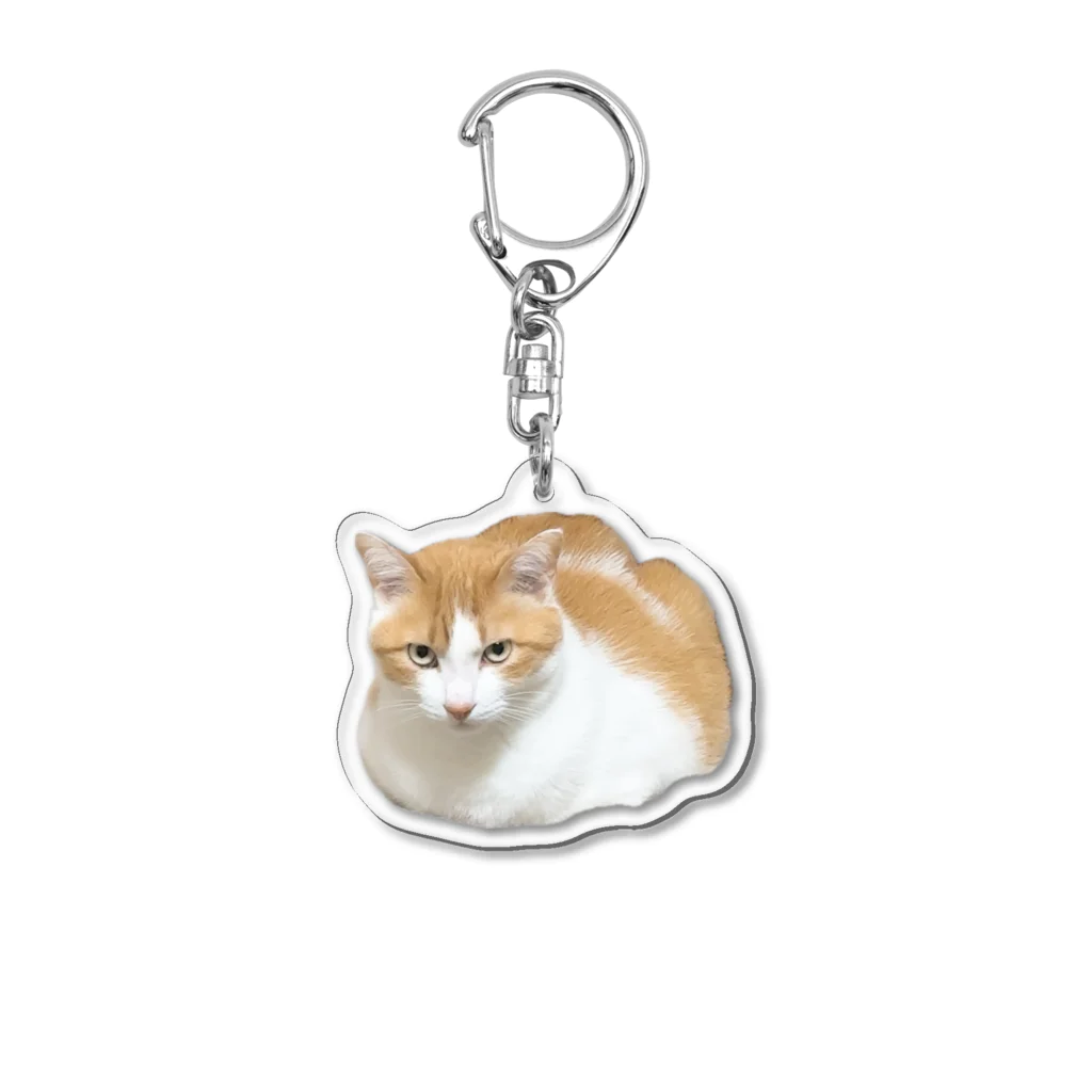 トラまるグッズのチームトラまる2 Acrylic Key Chain