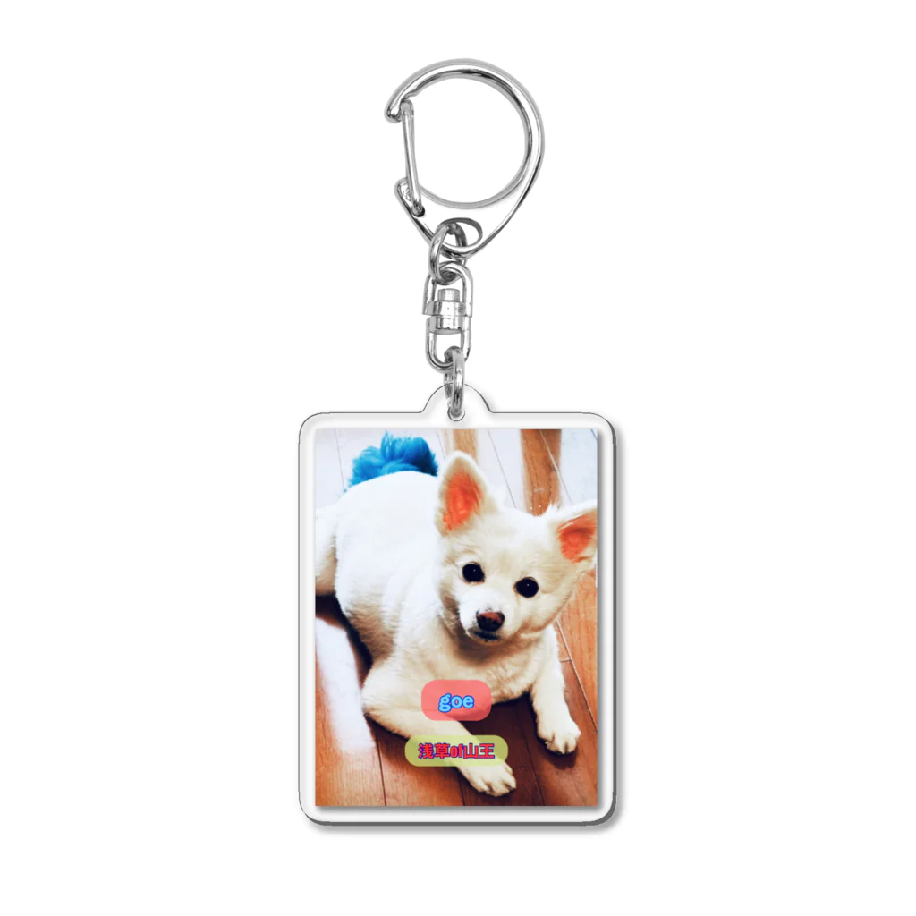 Gal3のjoe Acrylic Key Chain