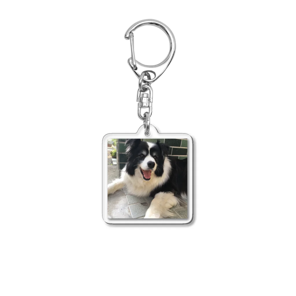 meeting pandaのボーダーコリー Acrylic Key Chain