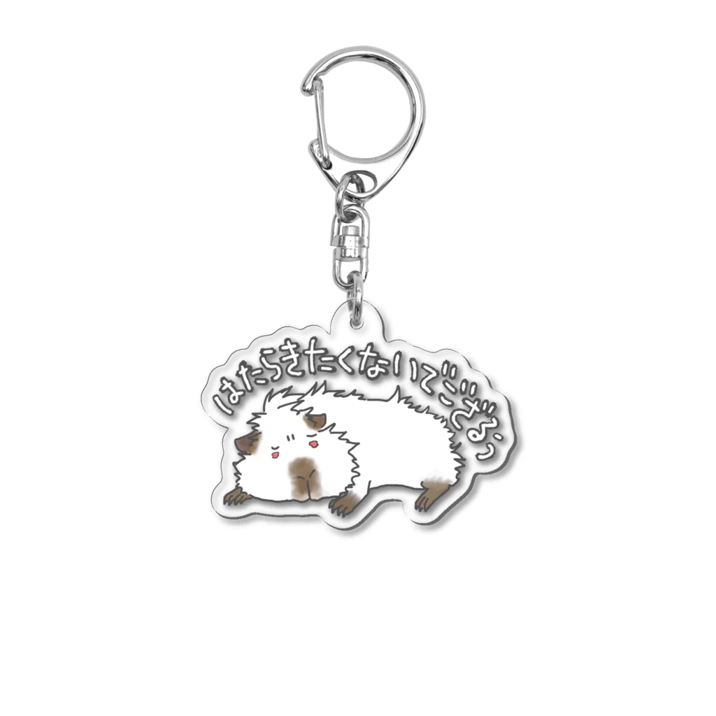 【モルモット】Mugi & Ruki【四国犬】の働きたくない モルモット Acrylic Key Chain