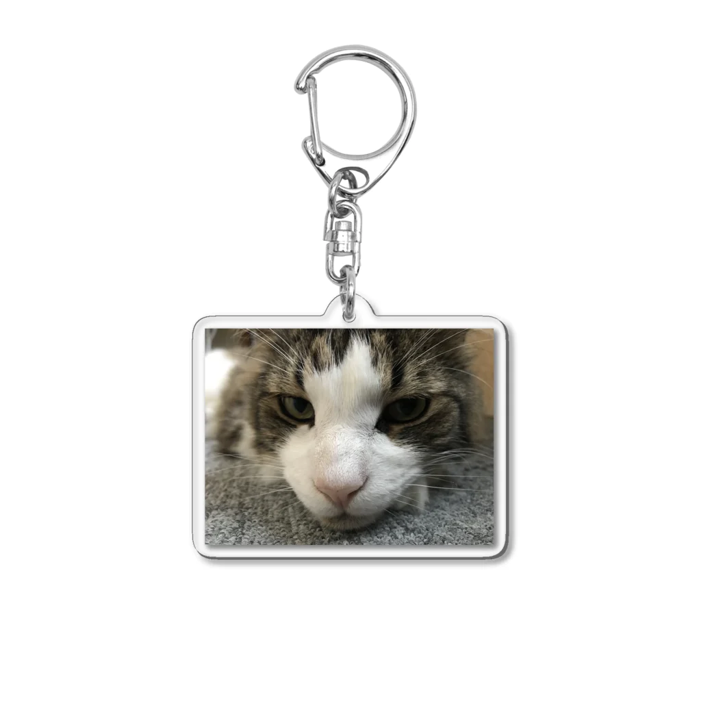 HURRY&GOのhrs-N1 Acrylic Key Chain