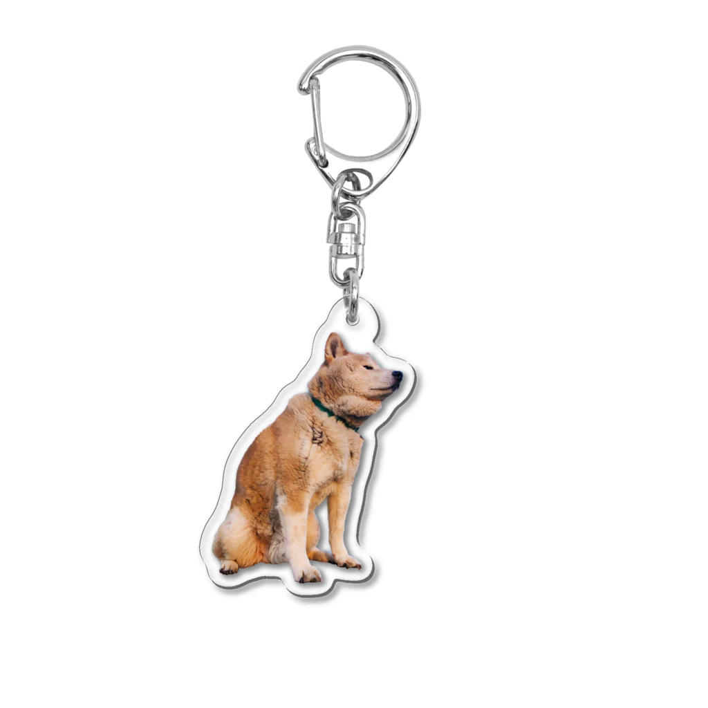 愛犬太郎のグッズの黄昏太郎【柴犬】 Acrylic Key Chain