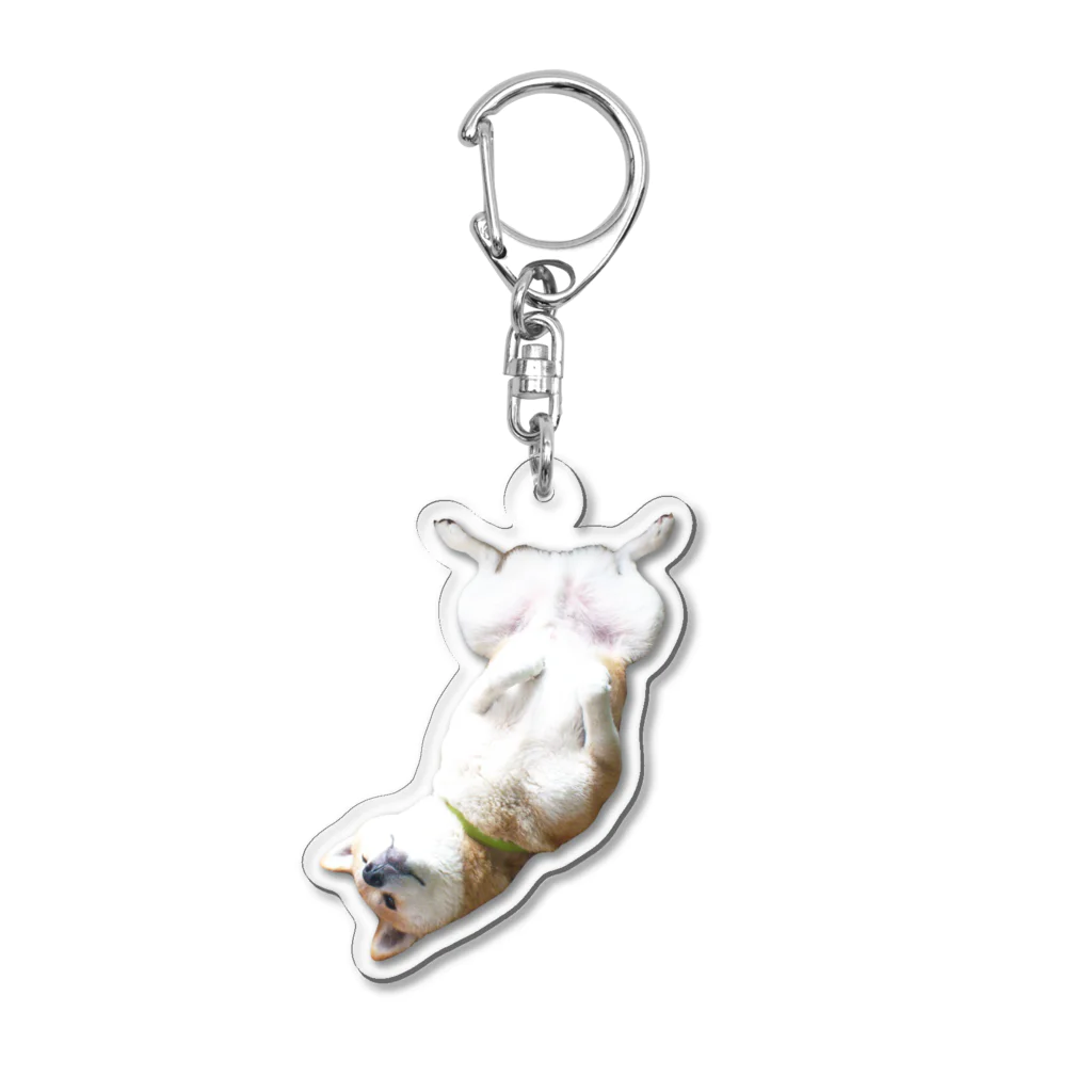 愛犬太郎のグッズのへそ天太郎【柴犬】仰向け Acrylic Key Chain