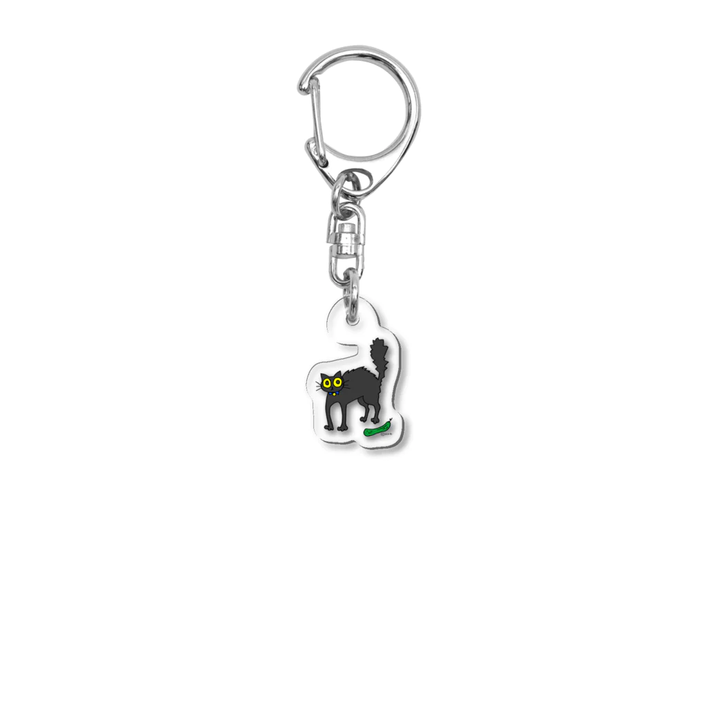 📎若尾桂子📎のキュウリにおどろく黒猫 Acrylic Key Chain