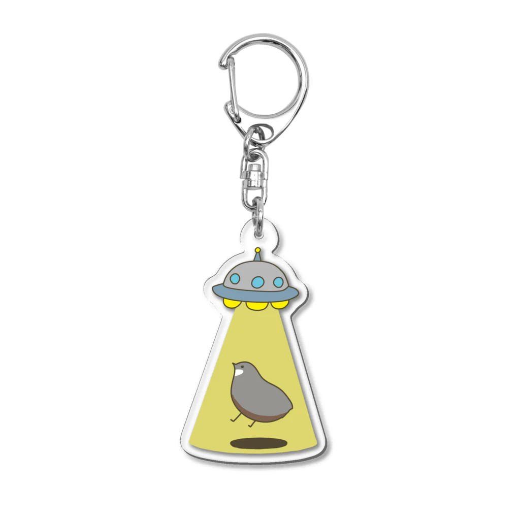 wa_cameのアブダクションうずら Acrylic Key Chain