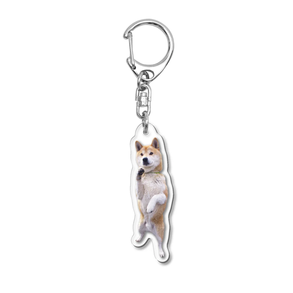 愛犬太郎のグッズの起立太郎【柴犬】 Acrylic Key Chain