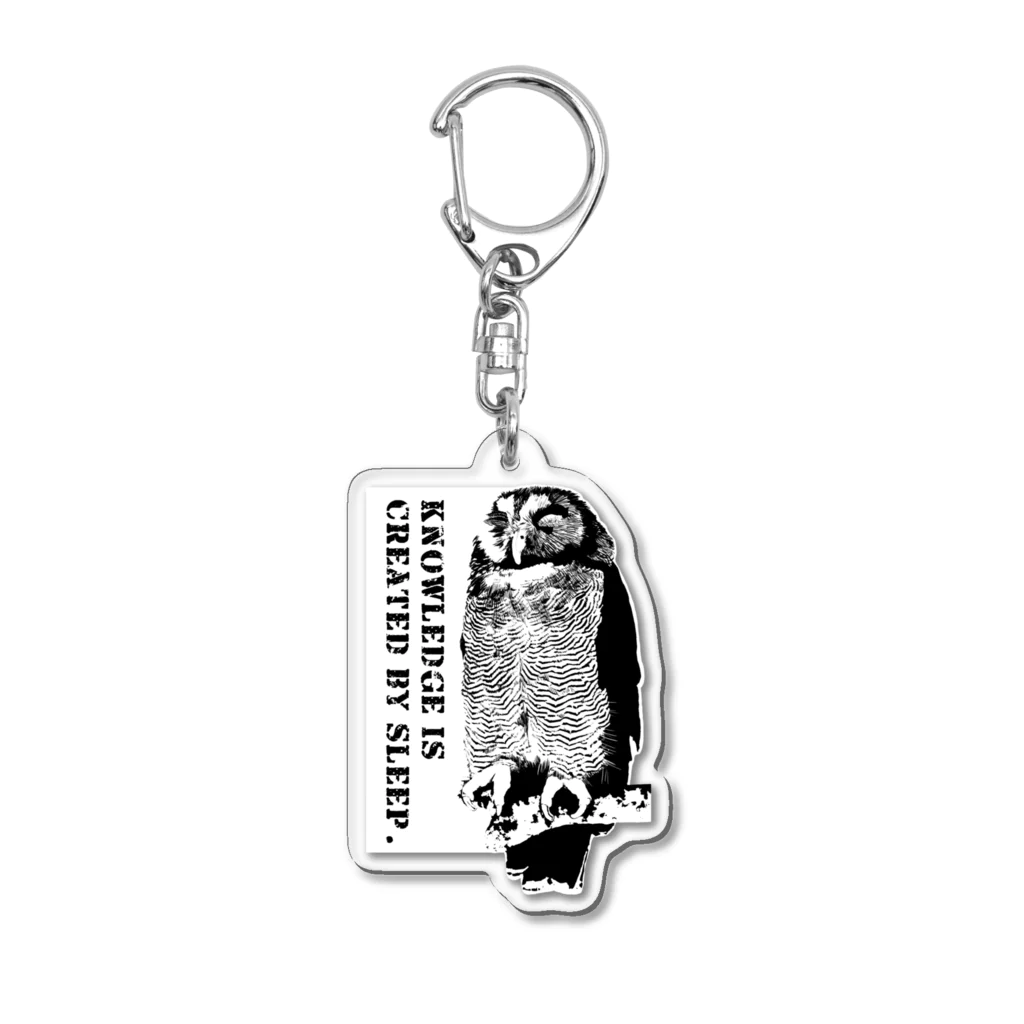 huroshikiのSleeping owl Acrylic Key Chain