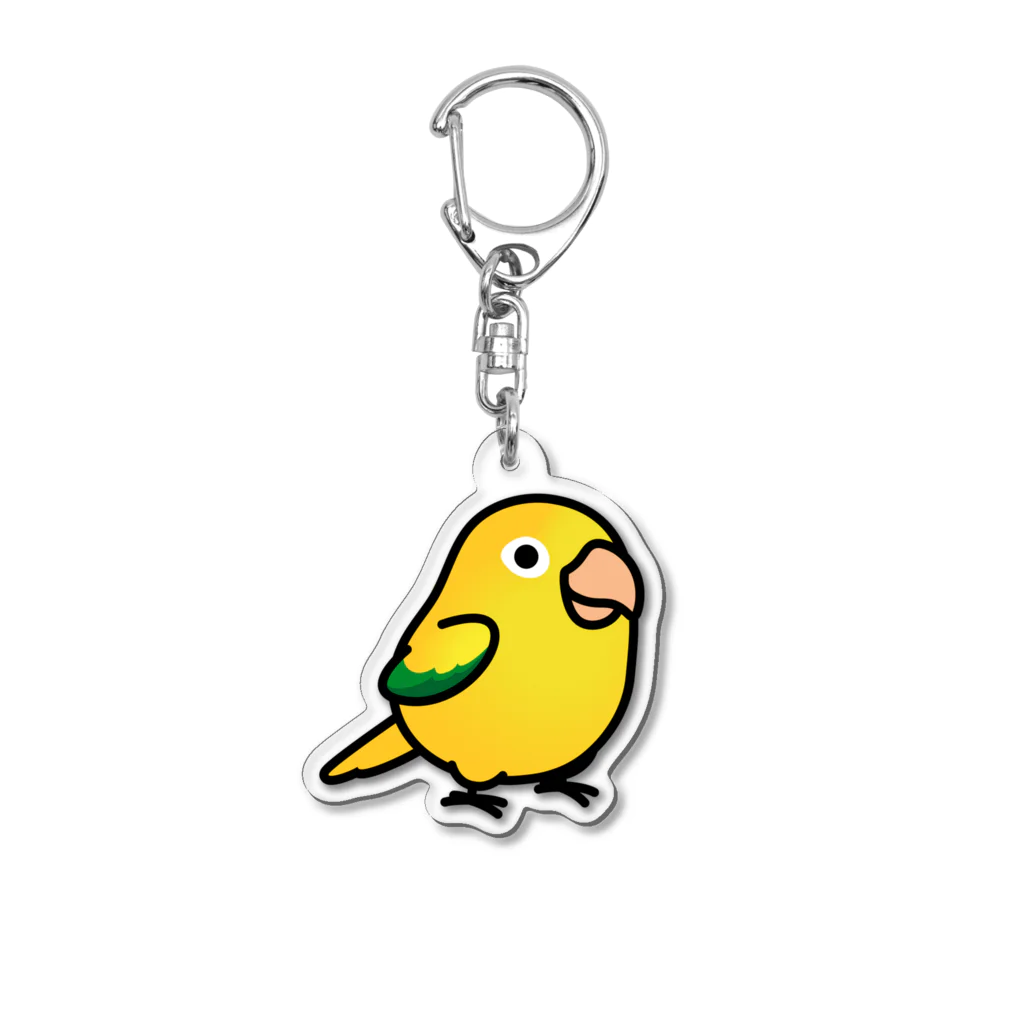 Cody the LovebirdのChubby Bird ニョオウインコ Acrylic Key Chain