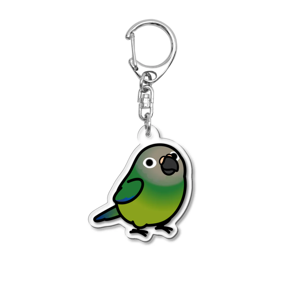 Cody the LovebirdのChubby Bird シモフリインコ Acrylic Key Chain