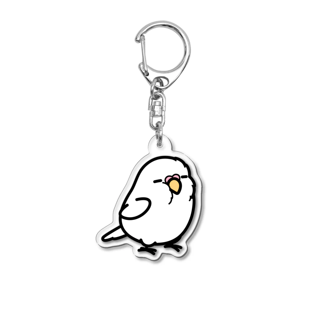 Cody the LovebirdのChubby Bird 大型セキセイインコ アクリルキーホルダー