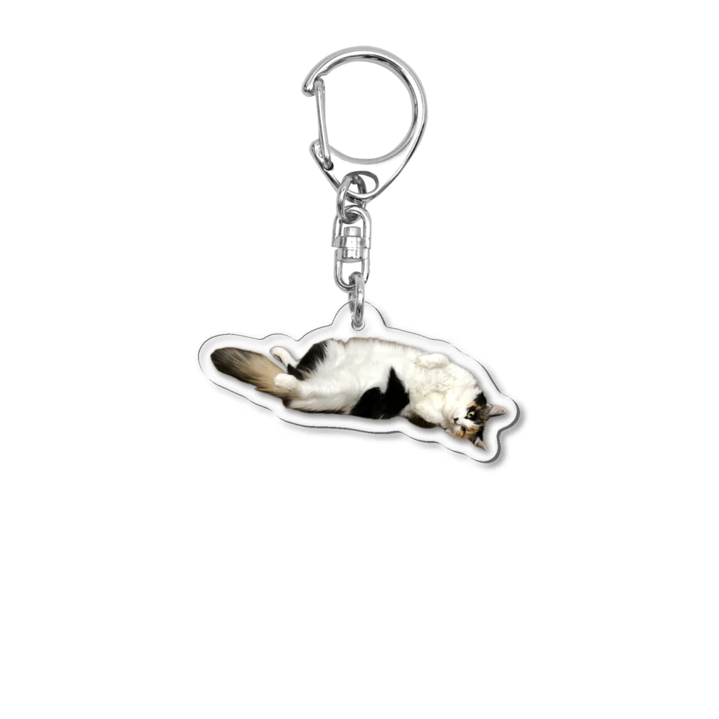 ねこまみれのにゃん Acrylic Key Chain