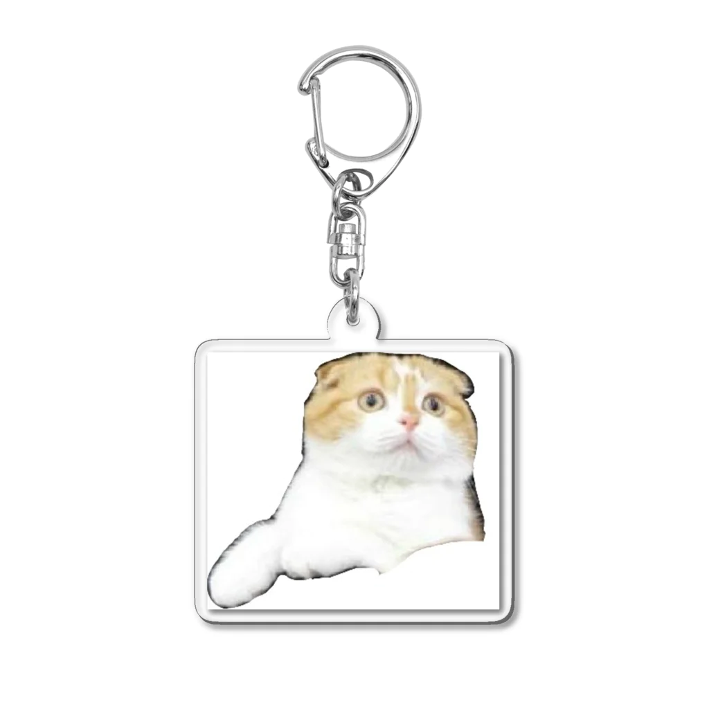 ﾁﾋﾞ姐さんのはじめての茶々丸 Acrylic Key Chain