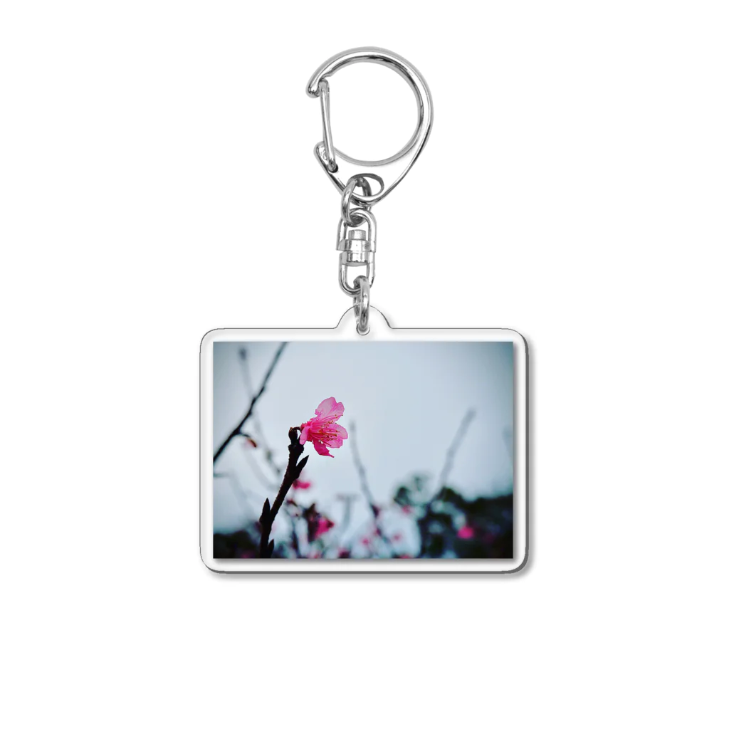 空飛ぶ猫 sakuuの春は来る Acrylic Key Chain