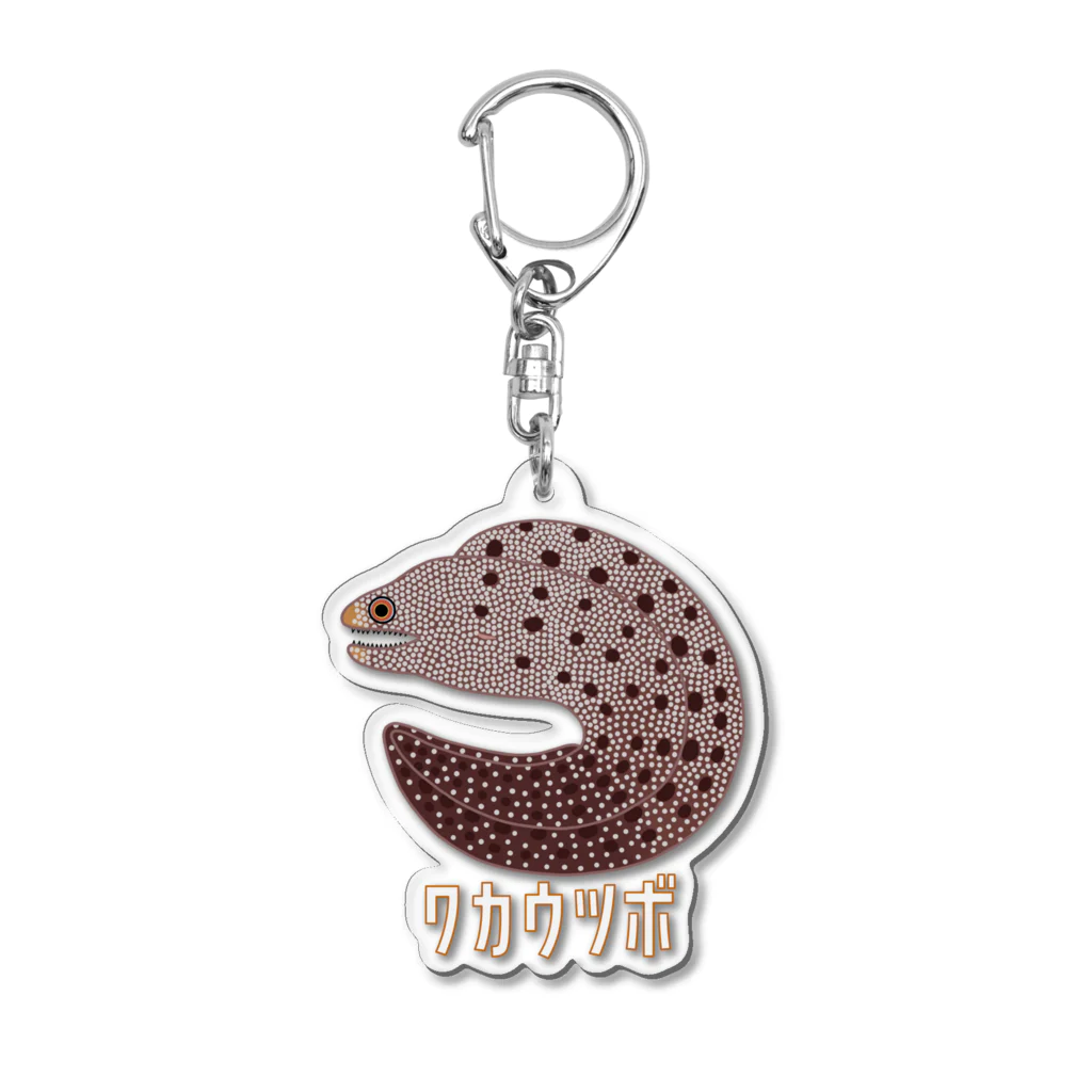 街のいろどりのワカウツボ Acrylic Key Chain