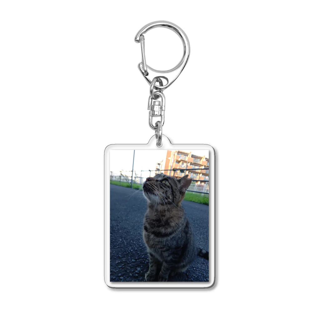 ながしっぽ from.さくらねこの家のとらちゃん　type.Ｂ Acrylic Key Chain