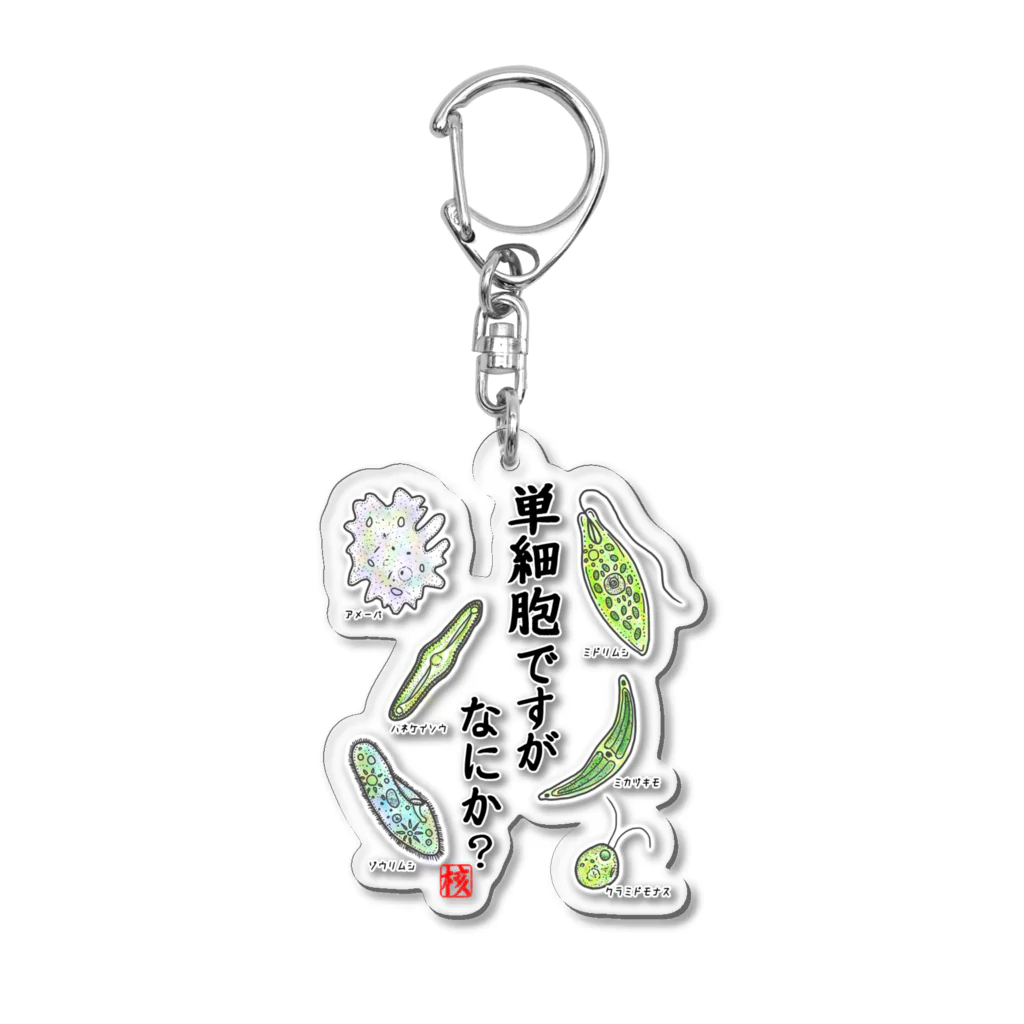 くいなの母の単細胞ですが、なにか？(カラー) Acrylic Key Chain