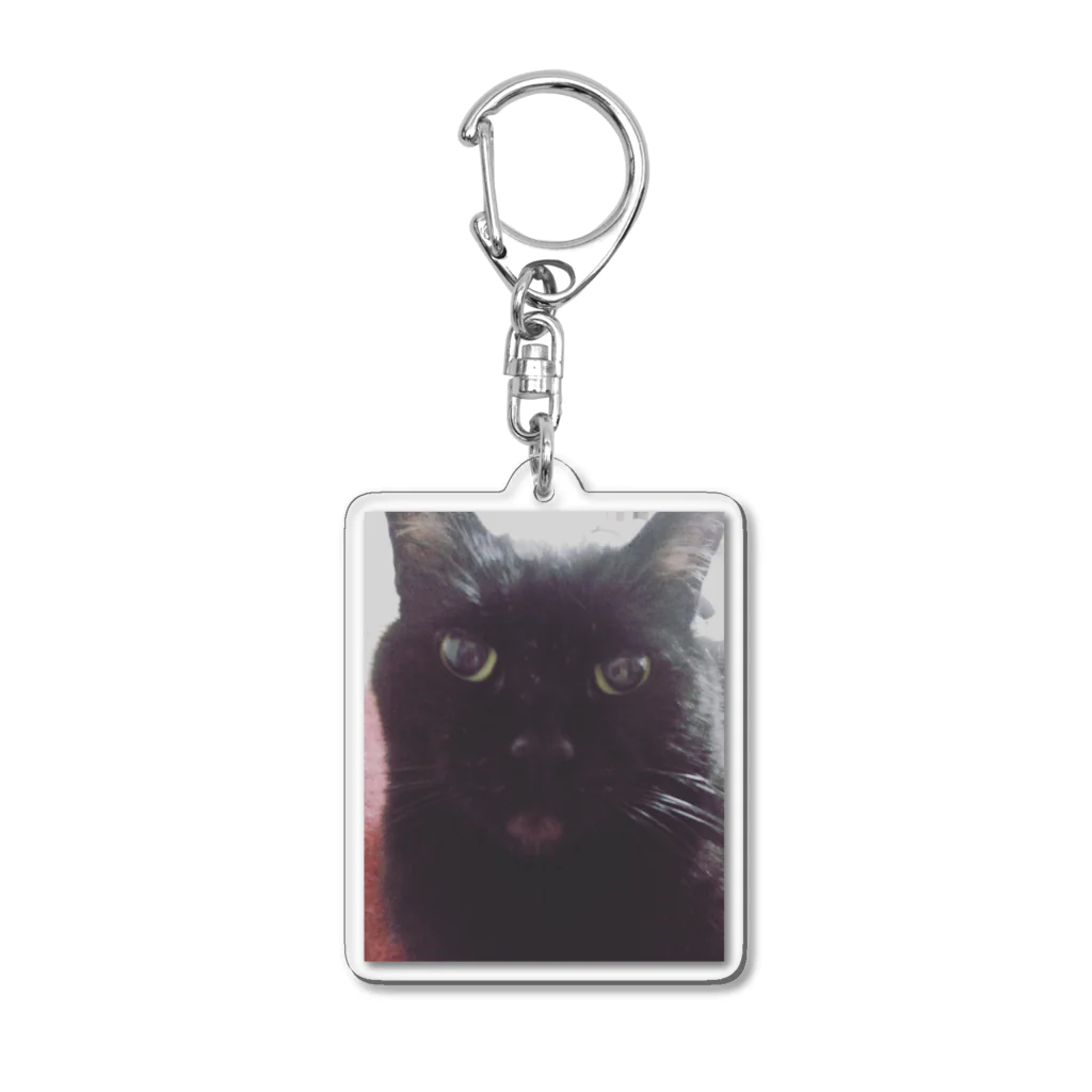 黒猫sceneryの黒猫のミニクロくん Acrylic Key Chain