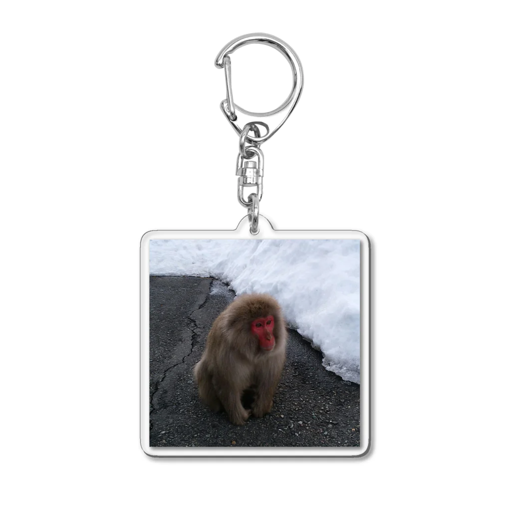 さッとんのおさるちゃん Acrylic Key Chain