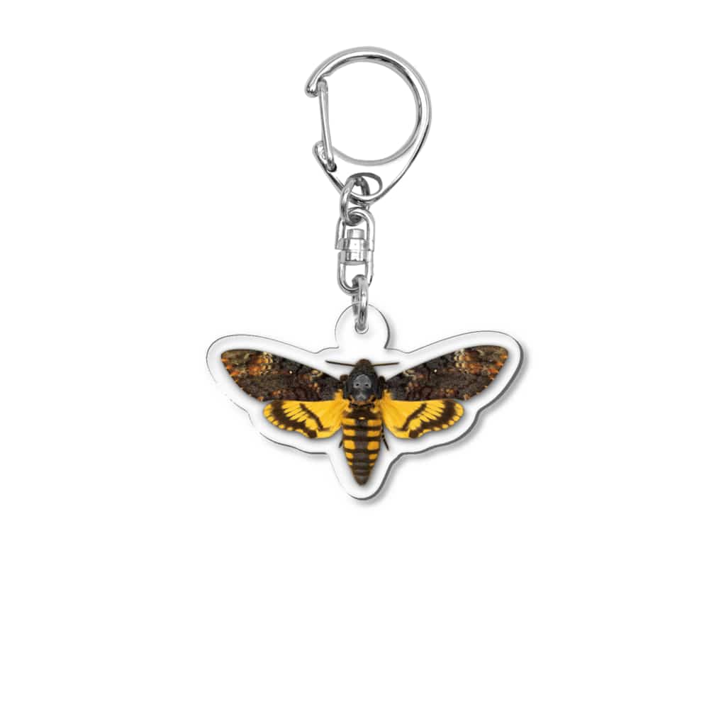 stereovisionのメンガタスズメ Acrylic Key Chain