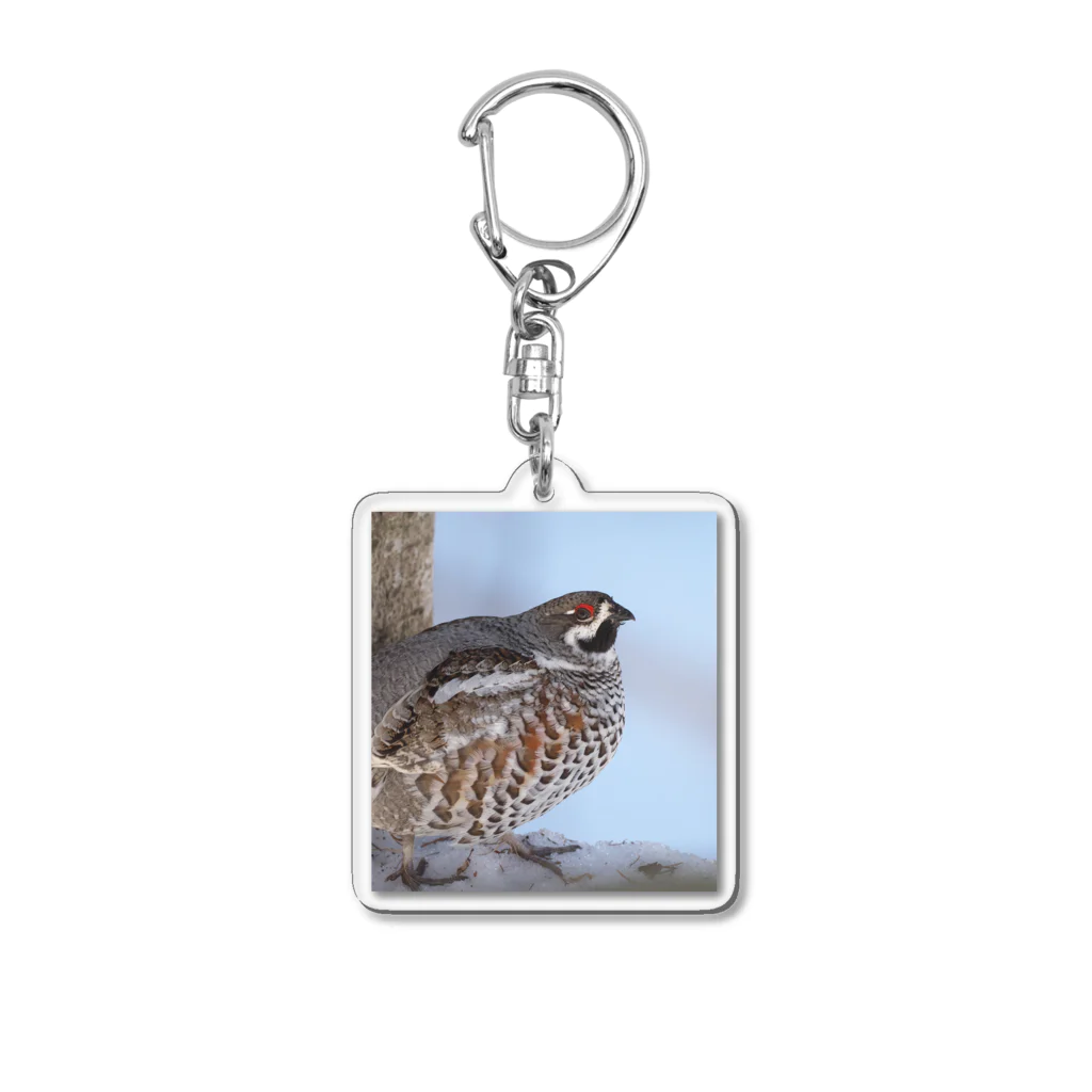 Kumimaro Shopのエゾライチョウ Acrylic Key Chain