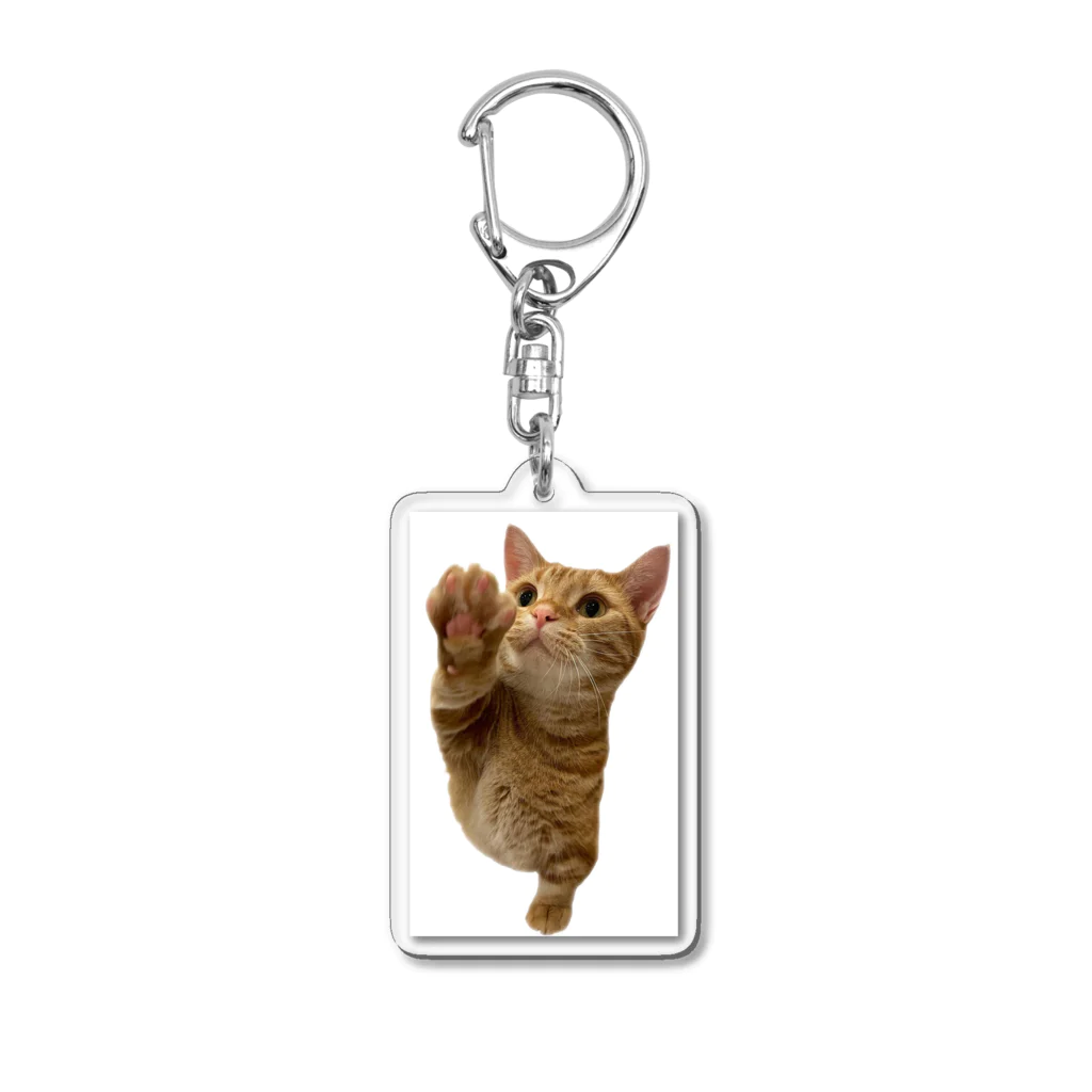 短足マンチカンのベビラテ の/iPhoneケース　猫 Acrylic Key Chain