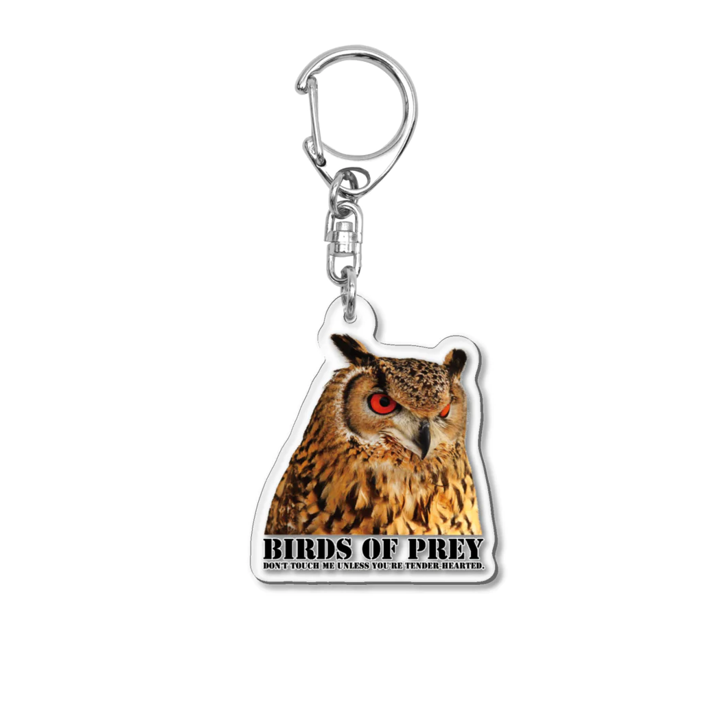 有限会社サイエンスファクトリーのBIRDS OF PREY ベンガルワシミミズク Acrylic Key Chain