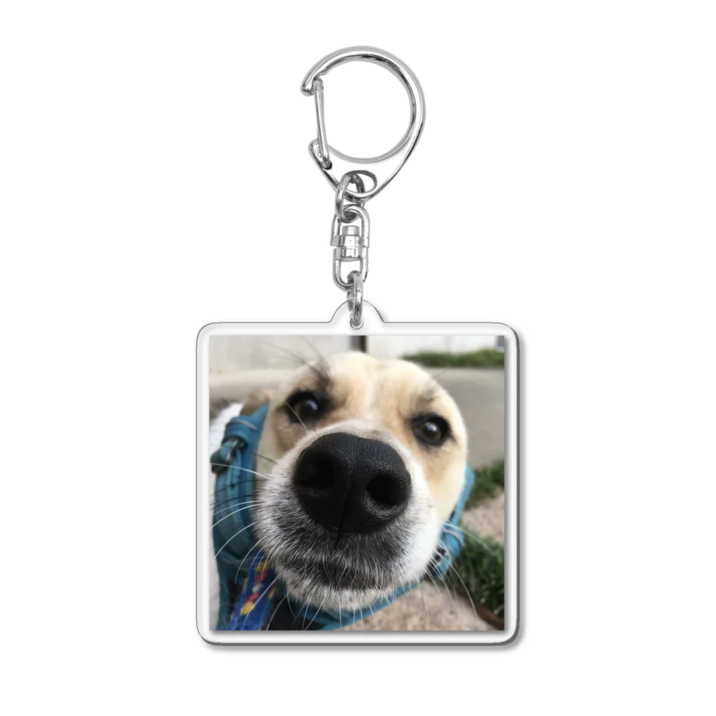 boo_booの野犬のぶうちゃん Acrylic Key Chain