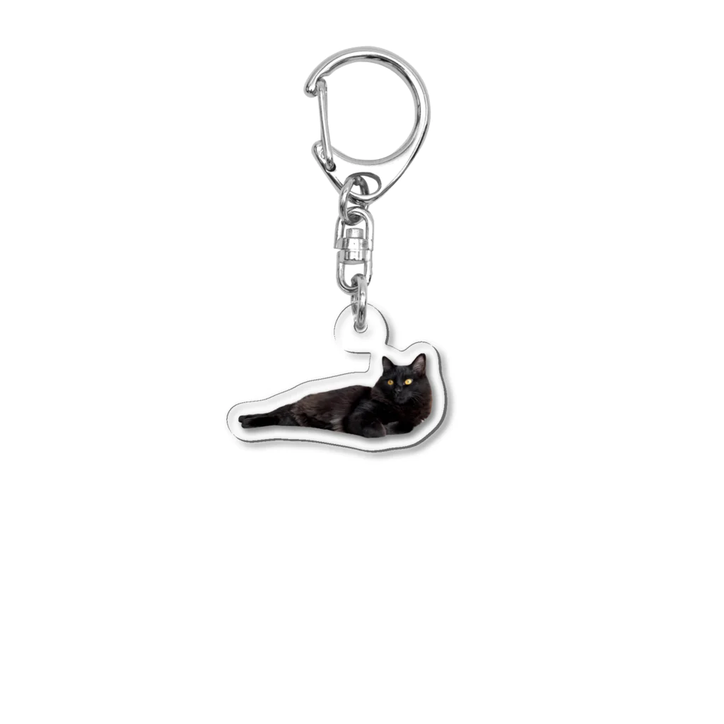 chill_laundryのクゥちゃん あざらし Acrylic Key Chain