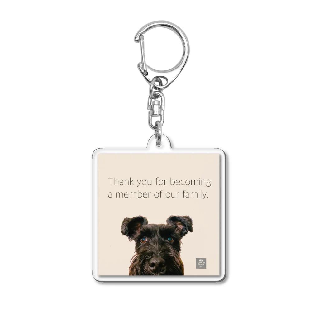 KURO のドアップKURO シュナウザー 黒シュナ 黒い犬 Acrylic Key Chain