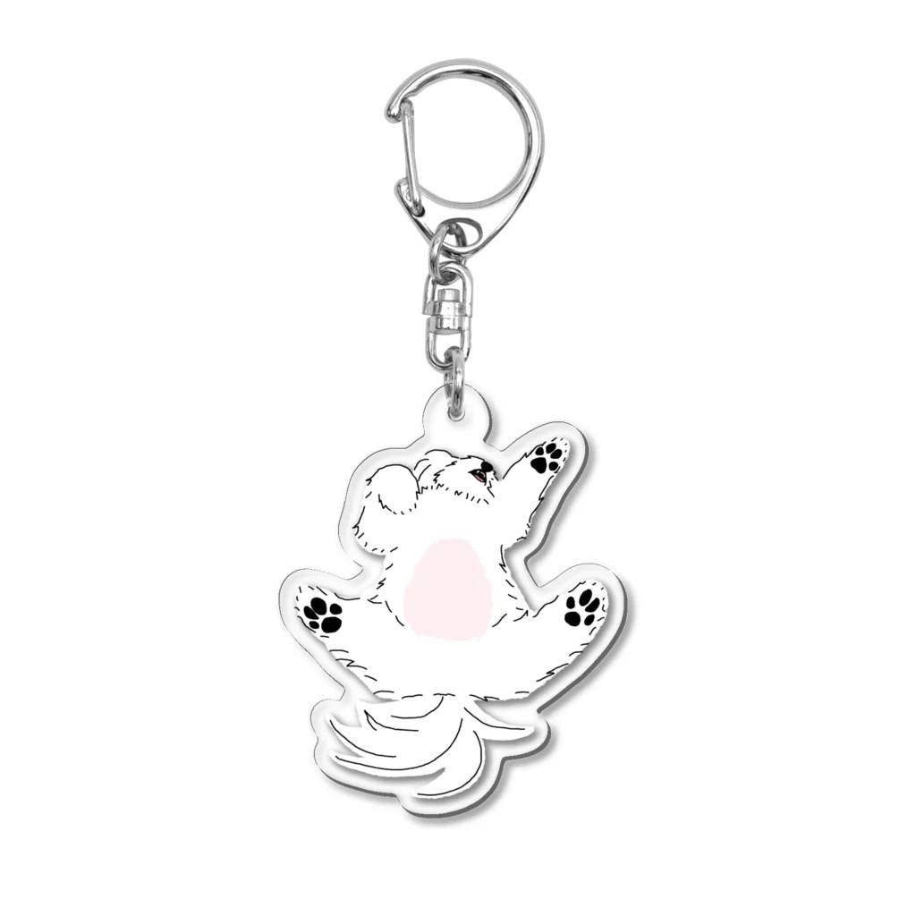 merciro maltese dogの熟睡マルチーズ犬 Acrylic Key Chain