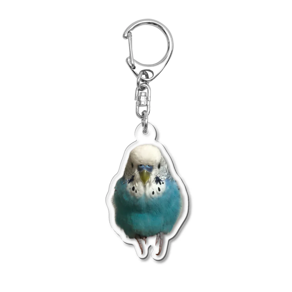 インコのラッキー(冬仕様) Acrylic Key Chain by インコ
