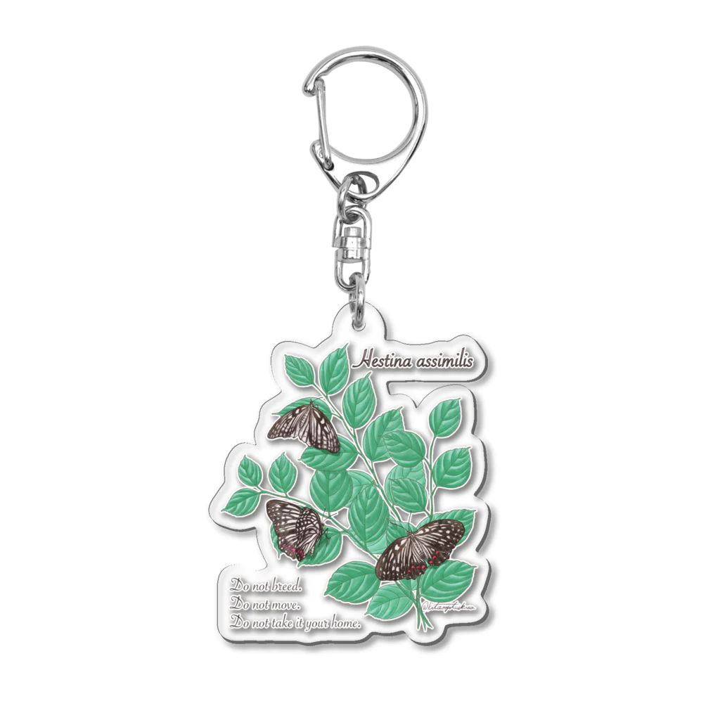 kitaooji shop SUZURI店のアカボシゴマダラとエノキ Acrylic Key Chain