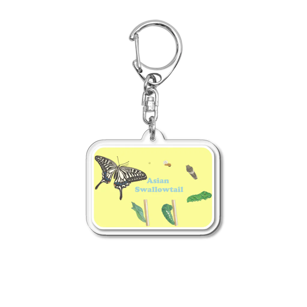 kitaooji shop SUZURI店のナミアゲハの発生サイクル Acrylic Key Chain